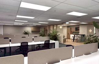 Elevated Shortland Street workspace