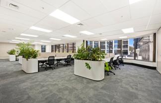 Elevated Shortland Street workspace