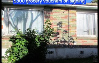 116 Queen Street, North Dunedin
