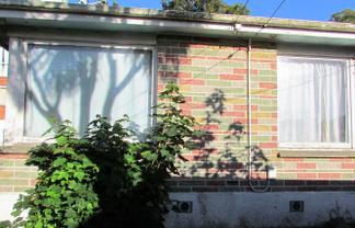 116 Queen Street, North Dunedin