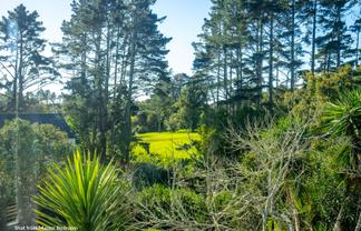 25 Rawalpindi Street, Mount Albert