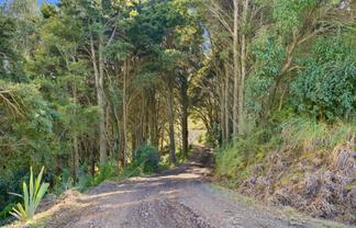 803 Golden Stairs, Maungaturoto