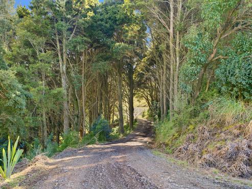 803 Golden Stairs Road, Mareretu
