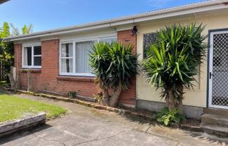 2/51  Tripoli Road, Panmure