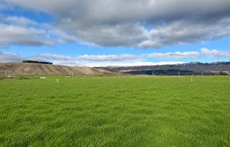  Oliver Road, Cromwell