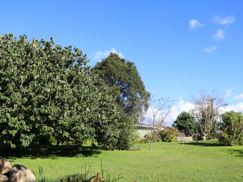 48 Cairnfield Road, Kensington