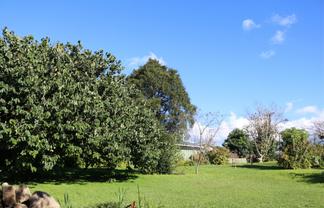 48 Cairnfield Road, Kensington