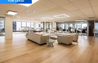 Modern 276sqm Office on Symonds Street
