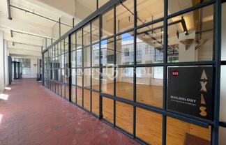 BOUTIQUE OFFICE & SHOWROOM | PARNELL