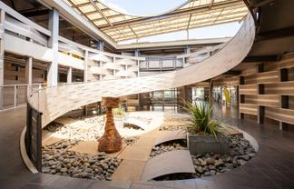 Modern Office Opportunities on Dominion Road