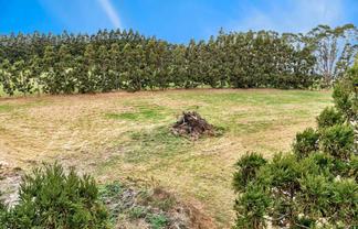 Lot 1/69a Vineyard Lane, Mangawhai