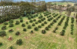 Lot 1/69a Vineyard Lane, Mangawhai