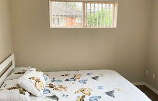 29 Vinewood Drive, Albany