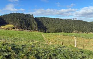  Milne Road, Purua