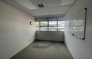 Bright Office Space in Takapuna