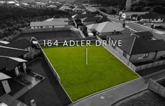 164 Adler Drive, Ohauiti