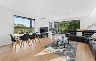 163A Verbena Road, Birkdale