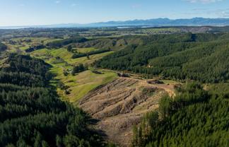 Supplejack Valley Road, Upper Moutere