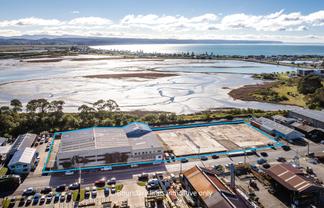 Large-Scale Napier Industrial