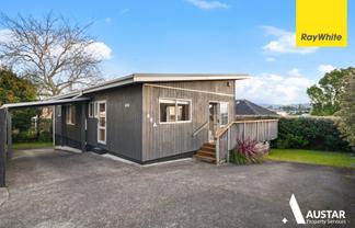 46 Savoy Road, Glen Eden