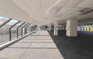 Flexible Queen St Education Hub Opportunity
