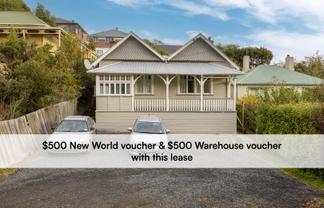 44 Chambers Street, North East Valley