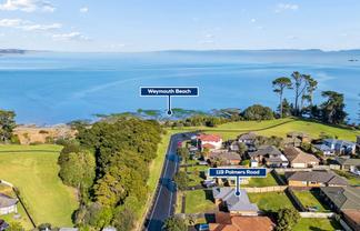 119 Palmers Road, Clendon Park