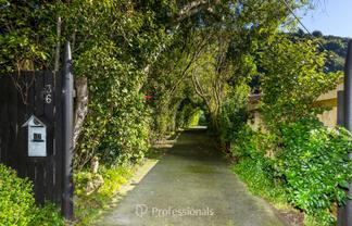 36 Black Beech Street, Birchville