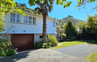 36 Black Beech Street, Birchville