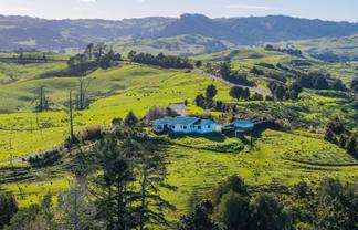 Lot 4 80 Harrison Road, Waiotira