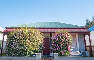 17 Crown Street, North East Valley
