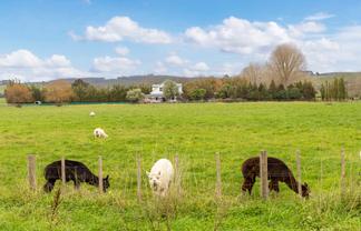 2179 State Highway 16, Helensville
