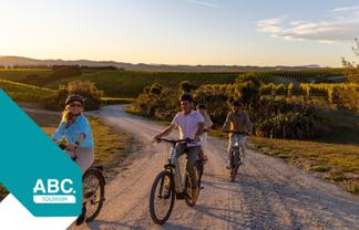 $300K+ Profit - $1.2M Established Tourism Business
