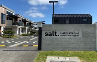 Salt Avenue, Mount Maunganui