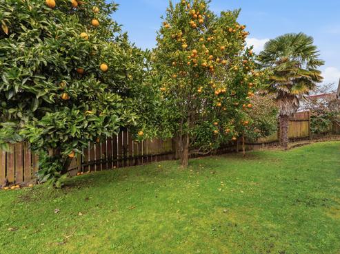 21 Bayview Street, Te Puke