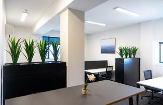Light & Spacious Office