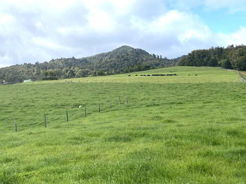 416 Corcoran Road, Te Pahu
