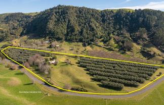 888 & 910 Braemar Road, Rotoma
