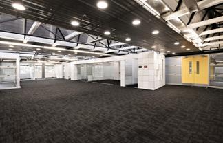Modern Mt Eden Office | 290 m2