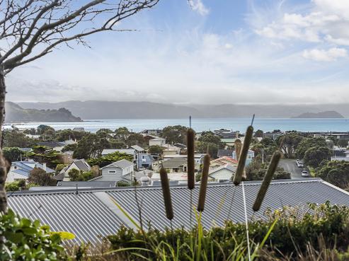 41A Mantell Street, Seatoun