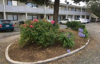 10/9 Trent Place , Fenton Park