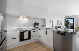 182 Dendro Ring Road, Milldale