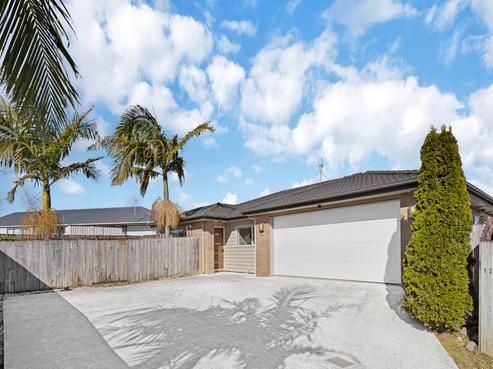 12 John Broad Place, Flat Bush
