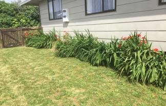 8 Nikau Place, Matamata