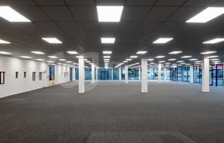 Unmissable Dominion Road Retail Opportunity