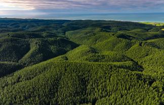  Taratu Road, Kaitangata
