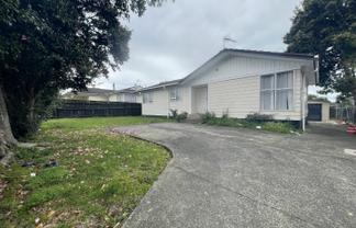 3 Neems Place, Manurewa