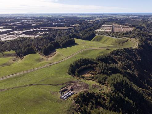 852 Rangiuru Road, Te Puke