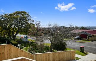 161 Wellington Street, Pukekohe