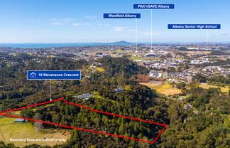 16 Stevensons Crescent, Albany